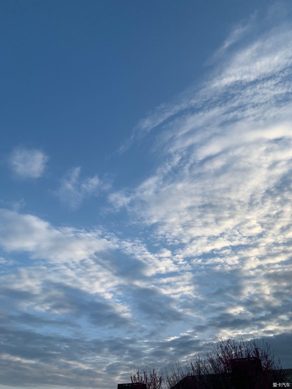 太阳出来了,成都人也在古镇、河边、草坪打挤