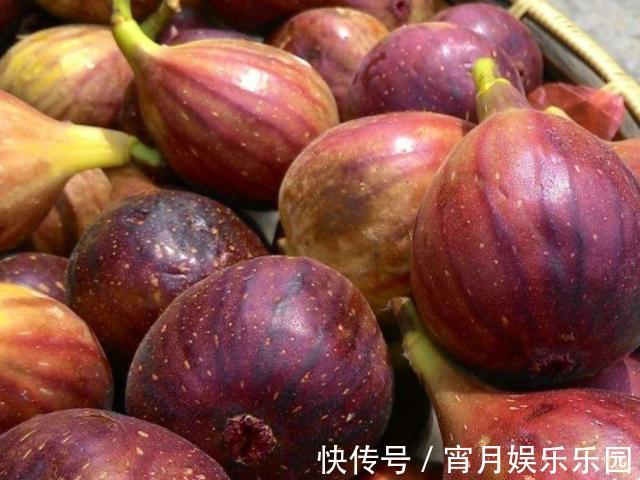 怀孕|“一白遮百丑”,孕妇在怀孕期间多吃4物,或排出胎毒,远离黄疸