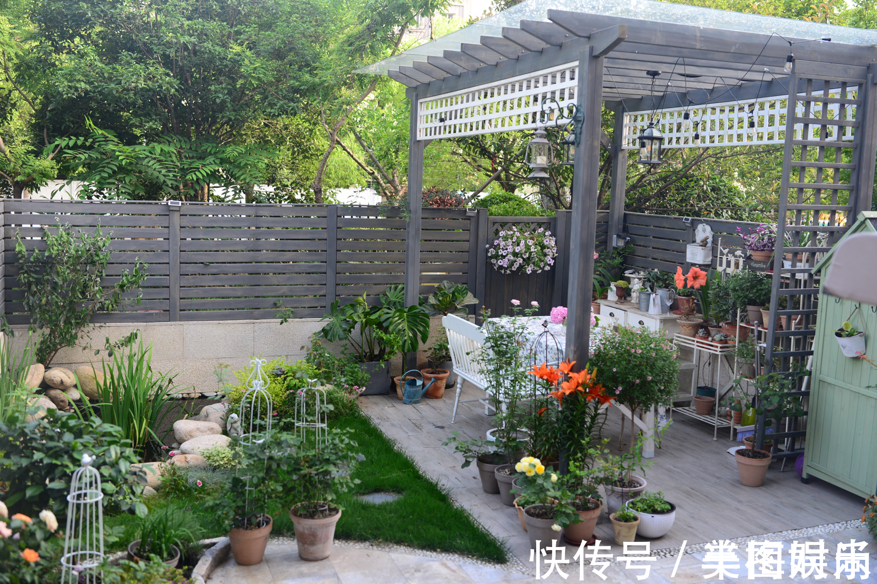 花一万元,在院子里建了个“原生态鱼池”,太漂亮了!