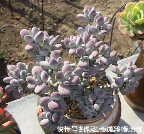 作业永远收不齐,老师想到一个好办法,当场分辨哪些人作业没交