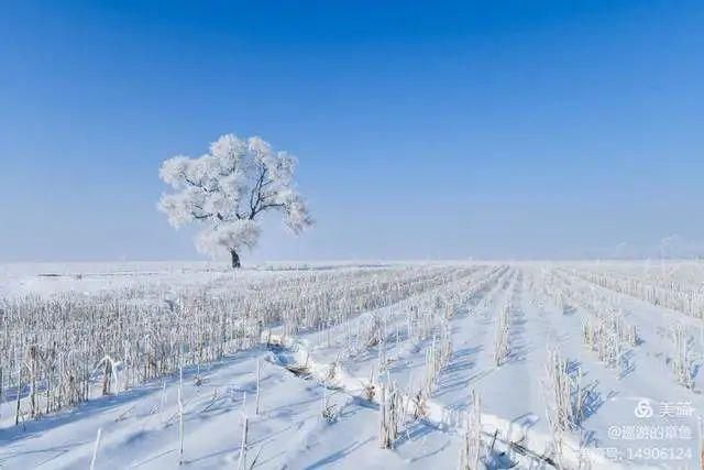 童话|冰天雪地，童话吉林