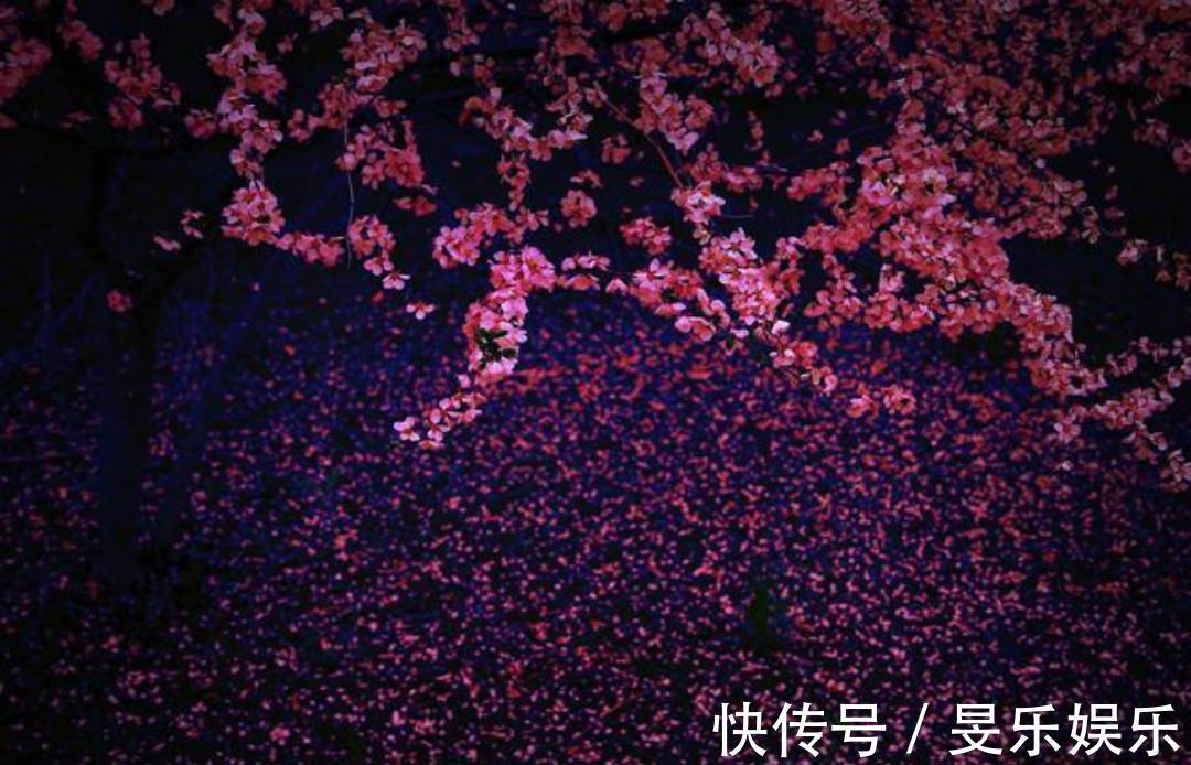 闰章$清初大诗人施闰章一首《山行》,同样写得很美,山野春景如诗如画