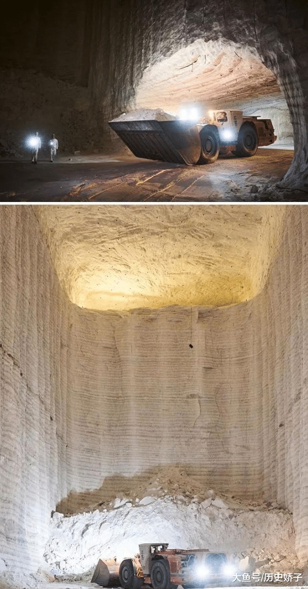 电子显微镜 22张“活久见”的照片,令人大开眼界!