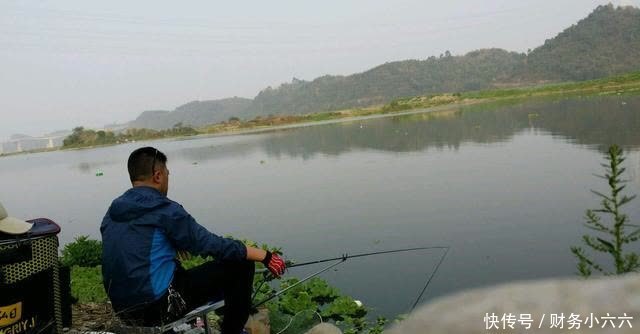 春季下雨钓鱼攻略,小鱼少大鱼多,靠岸觅食吃口狂