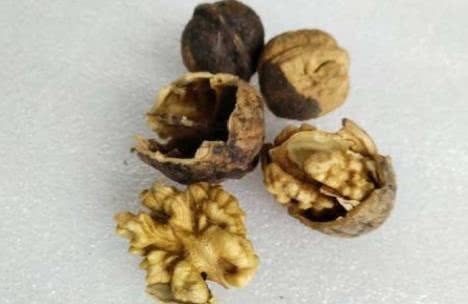 霉菌丝|核桃错误吃法,不仅不补脑,还有致癌的风险!