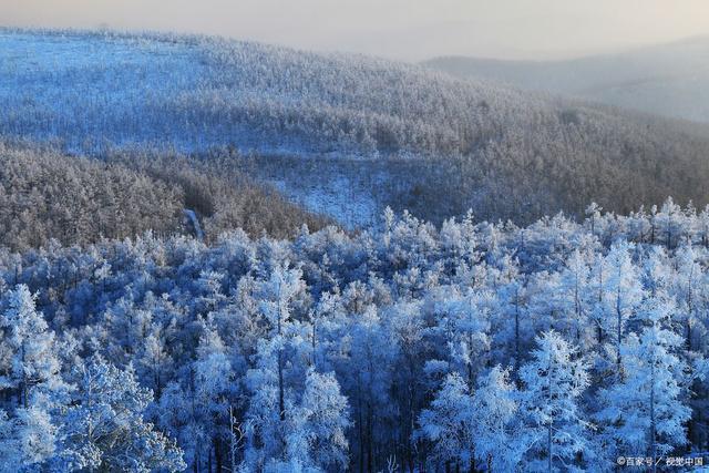 韦成柏$时逢小雪北风忽,旷野空山草萎枯。《小雪》诗词63首