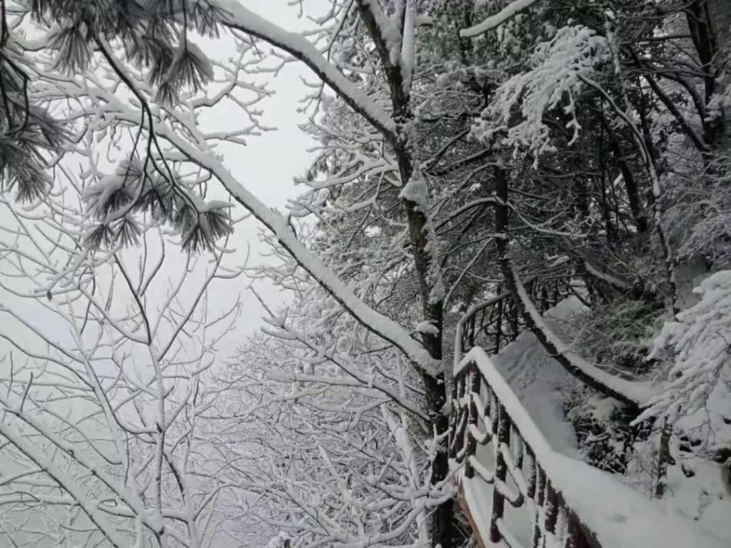 县区|初雪！周边县区雪景美图来袭！