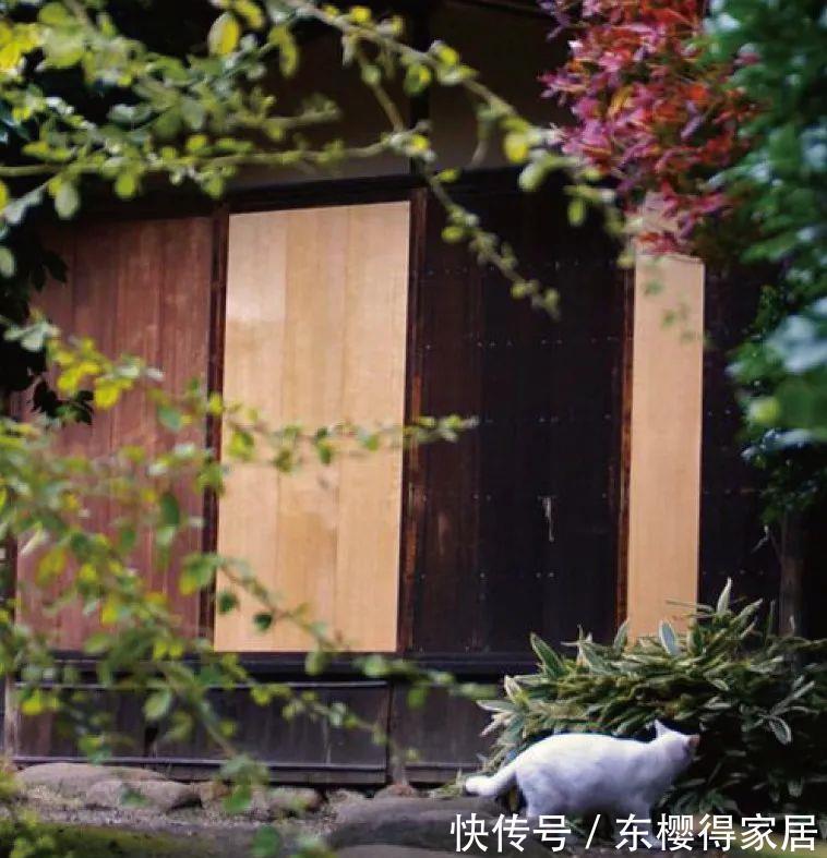 中国传统文化|世界上最小的庭院，居然能有意想不到的意境，简直太美了！