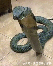 |搞笑GIF:人山人海, 挤公交或者挤地铁都有这种感觉