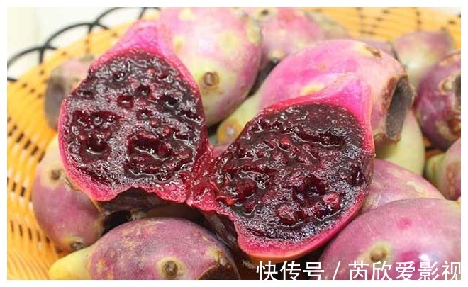 酸酸甜甜|长在农村墙头的野果,酸甜可口,想吃还得看缘分,有钱也难买到