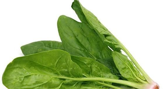 长寿|肝不好的人,离不开以下“4种”食物,慢慢的变得更长寿