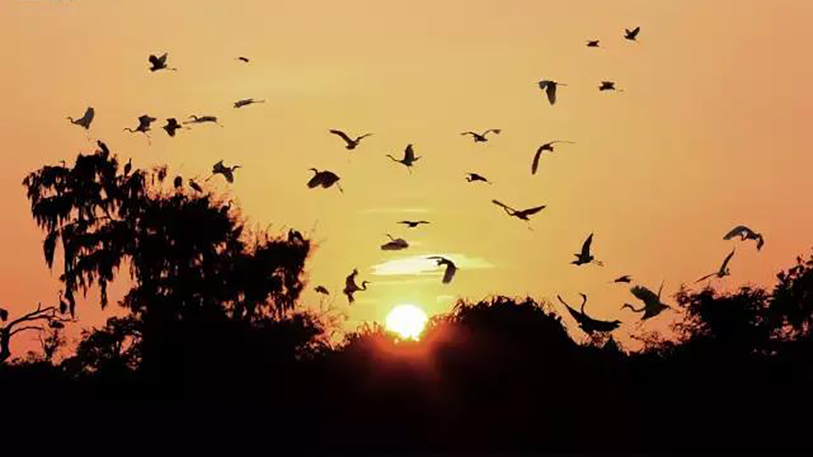 夕阳|李商隐被排挤出长安后,倍感庆幸写下一诗,颔联成千古名句