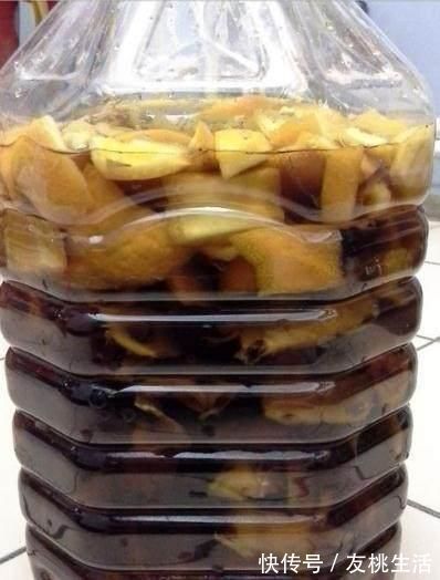 酵素|什么淘米水、洗菜水都不如这种水，它才是养花万能水，养啥旺啥