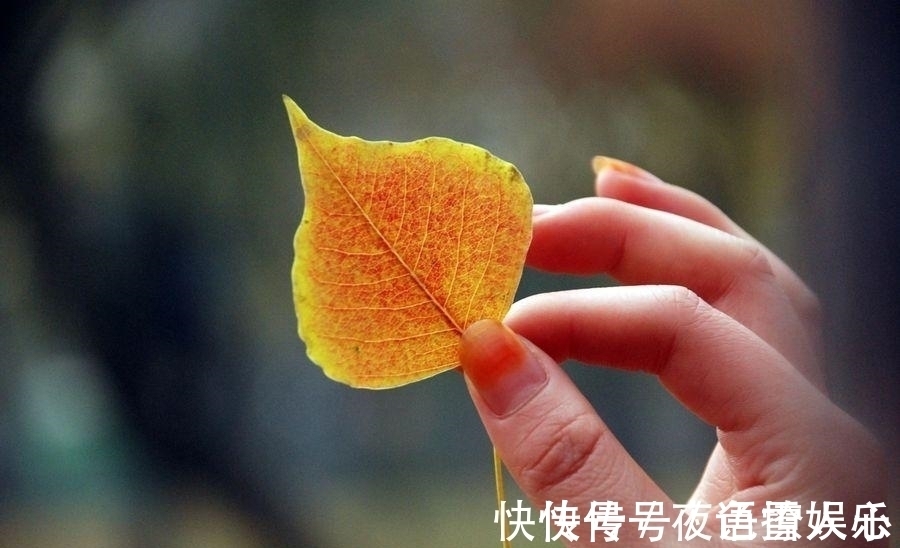 李白@一岁年龄一岁心。三首关于光阴古诗中,遇见最有诗意的秋天