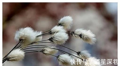 春暖花|5天后，春暖花开，心有不舍，旧爱重建，一次相遇，不再往来