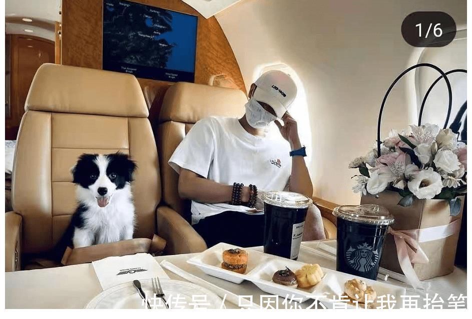 黄子韬高调晒私人飞机,在高空享受牛排大餐,宠物狗独享豪华座椅