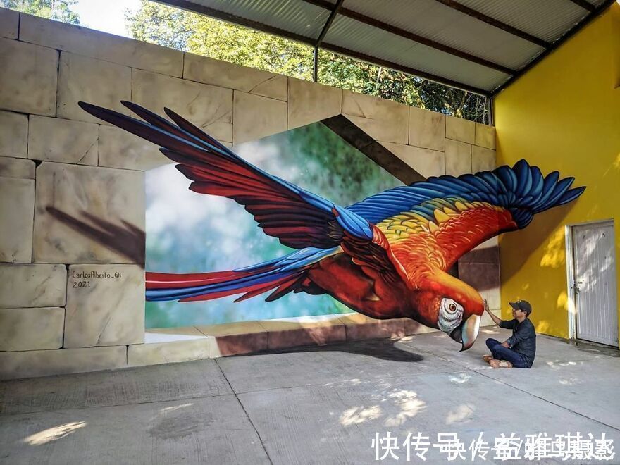 街头艺术|墨西哥版“神笔马良”!考古学家变3D画家,这些街头涂鸦帅爆了