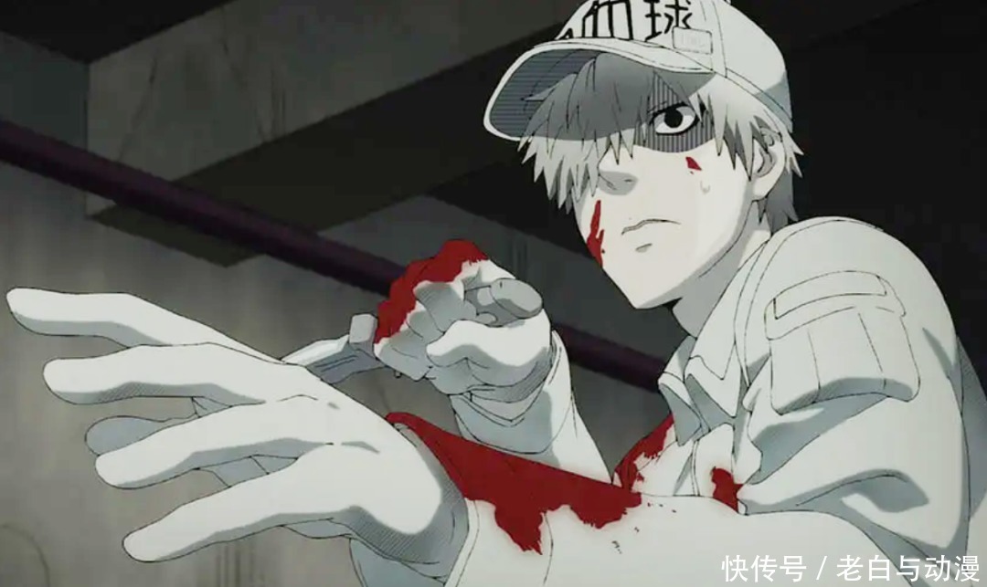 白血球|什么性别的白血球让人喜欢?看下他们的战斗,答案有了!