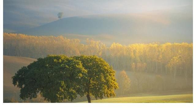 李子柒與MCN的紛爭｜人生轉(zhuǎn)個(gè)彎，境遇大不同