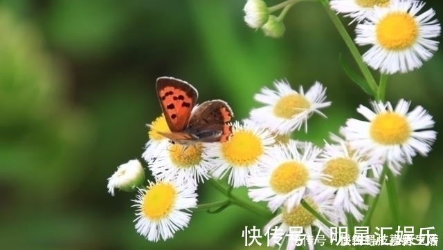 使至塞上#王维最感人的一首诗,句句都是千古名言,感动了历代无数的读者