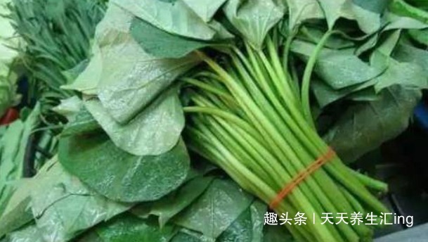 食物|女性想要好身材,不妨多吃以下食物,滋补养身,燃脂清肠,更年轻