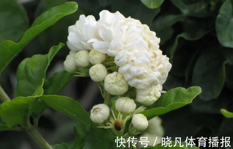 腊月|俗语“人怕腊月生,又怕腊月死”,为何这么说,有啥深层含义?