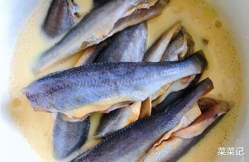 黄鳞鱼|这种鱼，便宜的没人吃，其实它的营养比甲鱼还高，很少人知道罢了