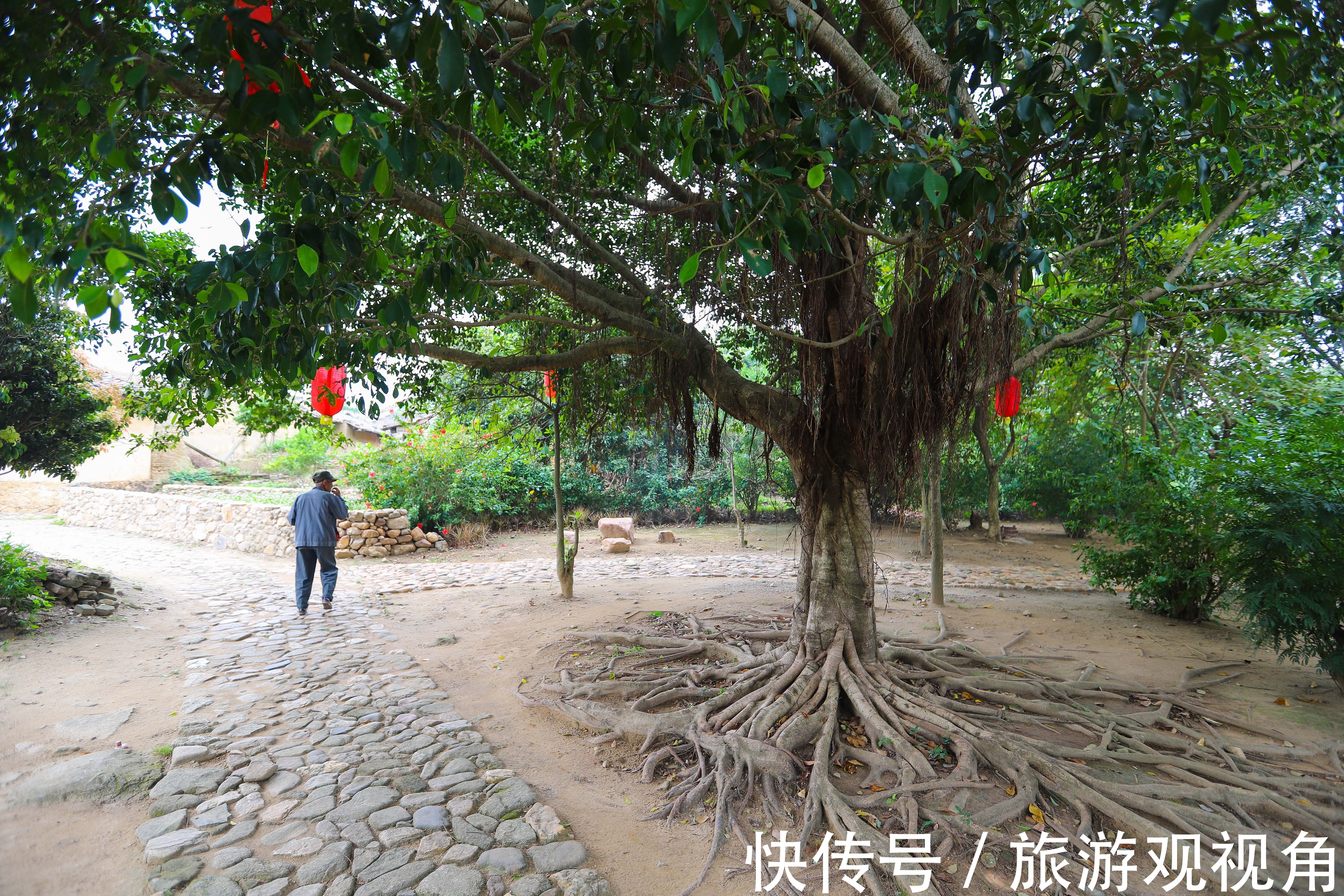 哈罗|广州周边自驾游，街巷弯如迷宫的钱岗村，岭南民居建筑博物馆