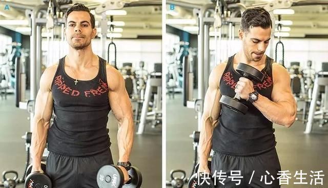 二头肌|我们肱二头肌围度迟迟不能突破?你可能忽略了这些!