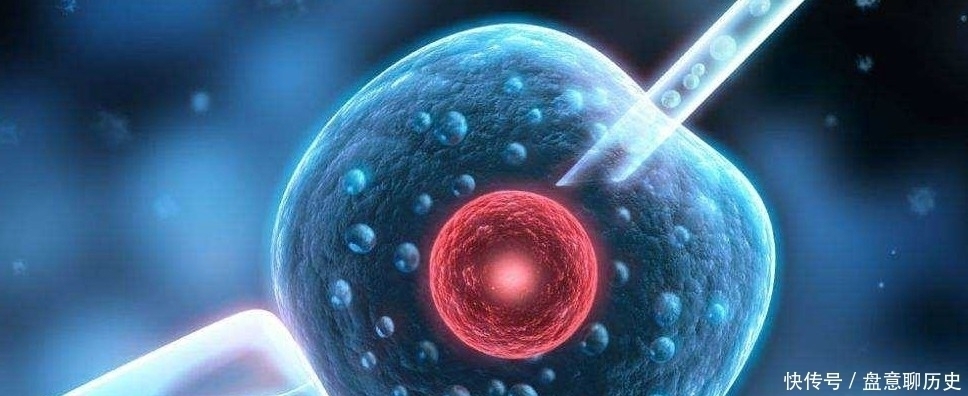 生育|31年前,我国第1个试管婴儿诞生,现在她怎么样了?