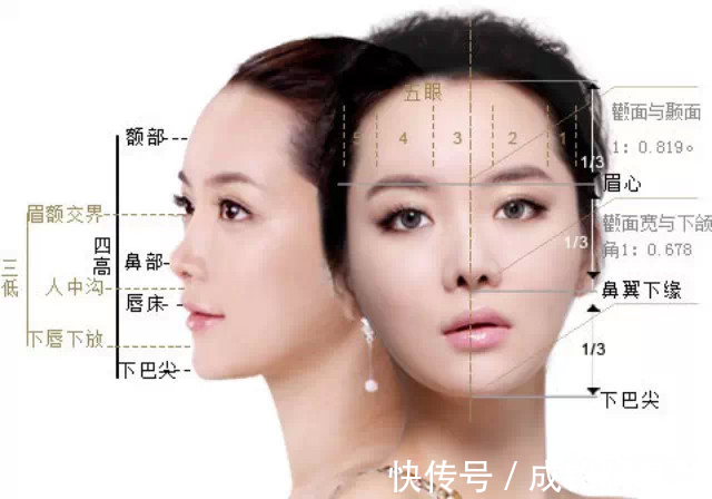 大长腿|“鹅蛋脸”和“瓜子脸”有啥区别?看懂这三个细节,区别一目了然