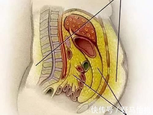 粗杂粮|吃粗粮能减肥吗?吃多少比较好?什么人不能吃?一文全读懂