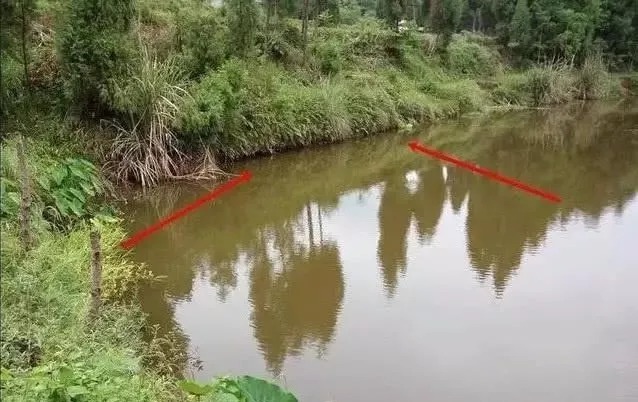 鱼儿们|冬季野钓只会钓草边？其实这些地方比草边更“藏”鱼，老钓友都在偷偷爆护！