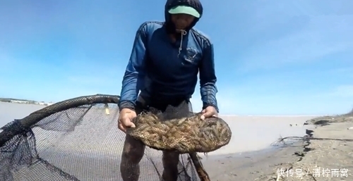 顺水|浑水中顺水捞鱼,有虾和鱼,网友:不应该逆水捞的吗?