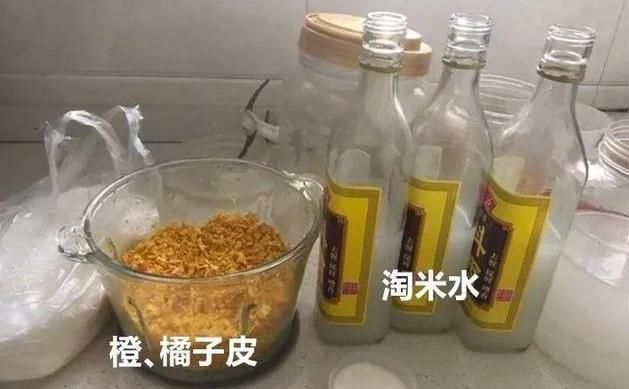 淘米水加点料，没有异味，肥效能翻10倍，养啥花都旺