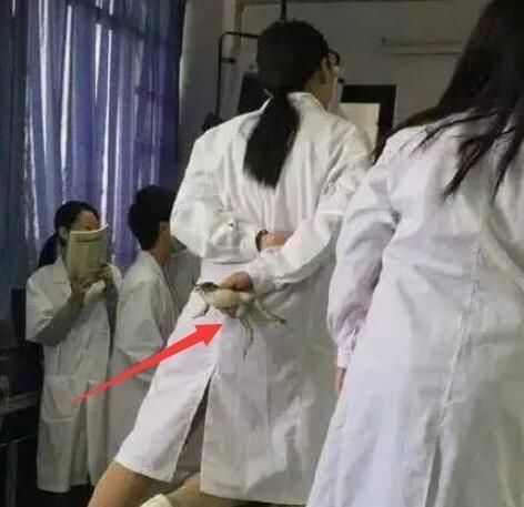 选择学医的女生有多“吓人”，看到她们上课日常后，后背有点发凉