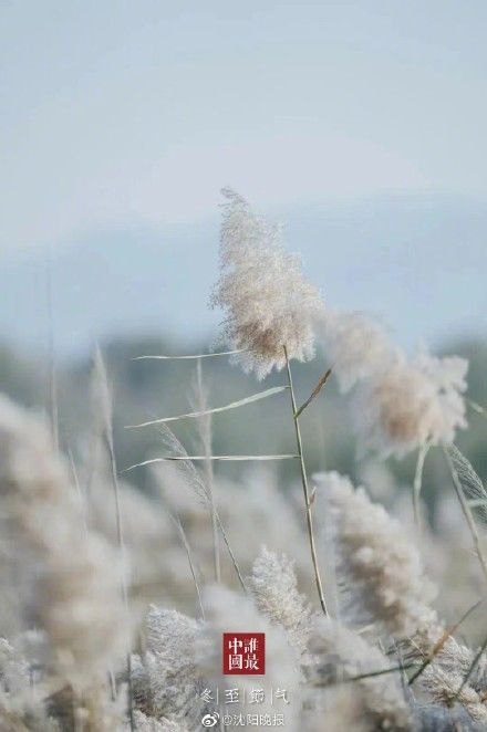 大吉日$冬至日 祝您浅喜暖望、岁月无忧!