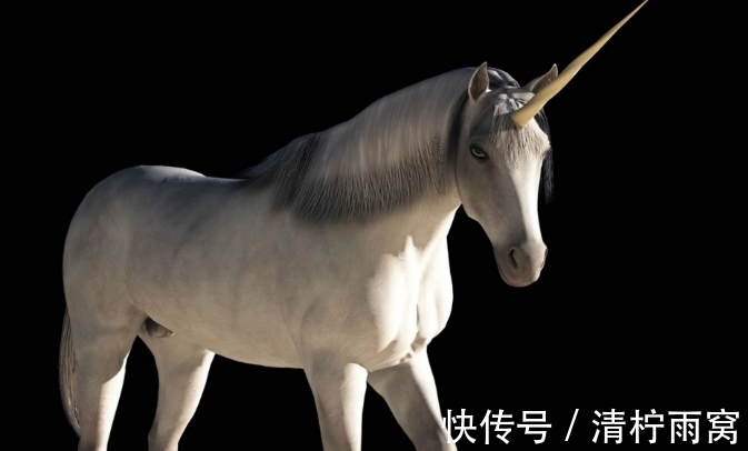 山海经&《山海经》中的一段奇特记载,倘若被证实,人类历史将会改写