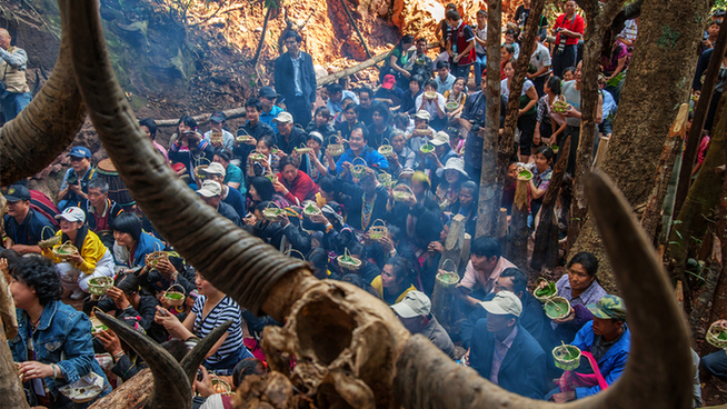 普洱市 普洱:“象”见恨晚的地方