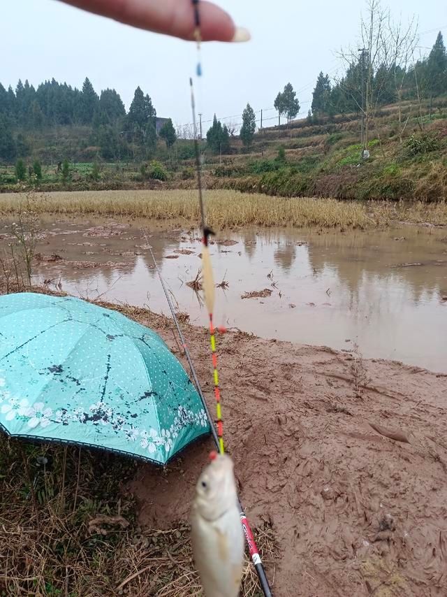 从年尾钓到年头,寓意年年有渔