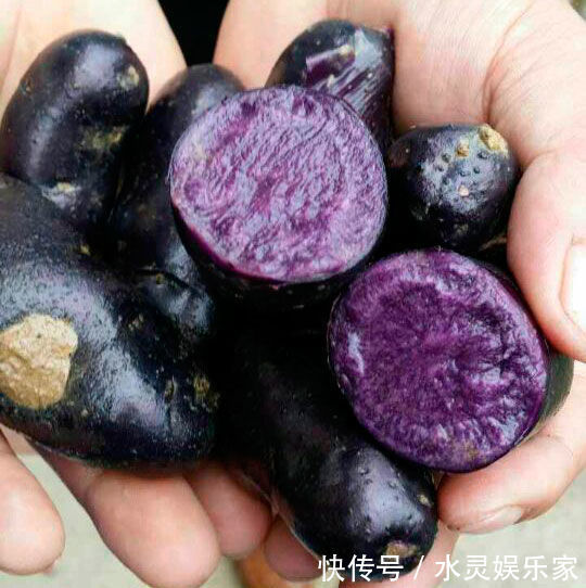 黄花菜|会吃的人更健康,坚持常吃4种食物,活血补气,排毒美容