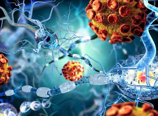 肿瘤患者|家有肿瘤患者，要如何饮食有三大饮食原则及注意要点要记住