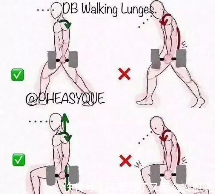 动作|健身健身房最容易做错的8个动作,动作正确效果翻倍