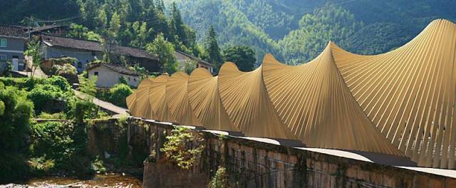 郑板桥#关于竹子的风水学,你知道哪一些,这一点决定了风水的好坏