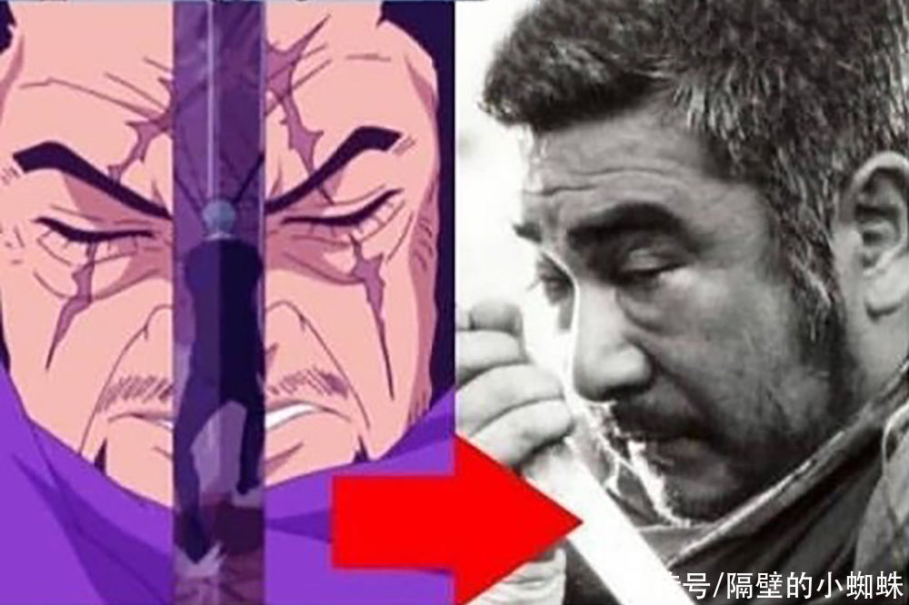 青雉|海贼王:6位海军大将的原型人物,青雉、赤犬好帅,桃兔美爆了