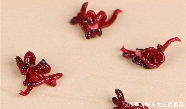 鱼钩|冬季钓鱼有秘诀“9字秘诀”看懂冬钓套路,天冷也能连竿上鱼!