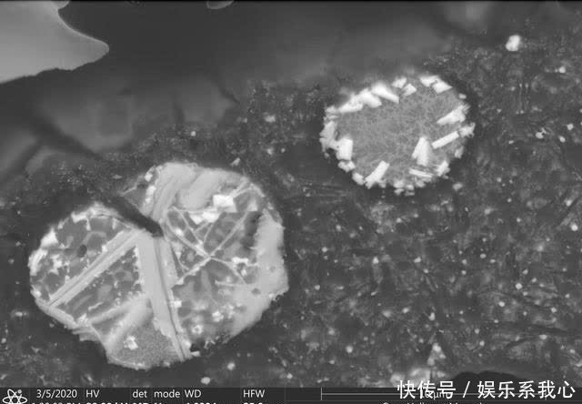 放射性 澳大利亚的土壤颗粒正在泄漏放射性钚