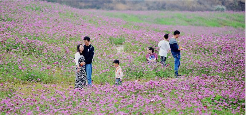 上思：春节本地游火“出圈”