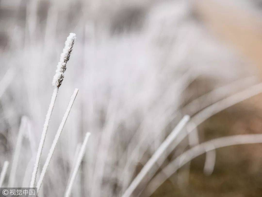  今日|今日大雪丨大雪至 万物藏