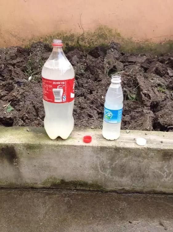 根系生长|6种花爱“喝酒吃醋”,半月来1勺,叶片浓绿滴油,狂开花!